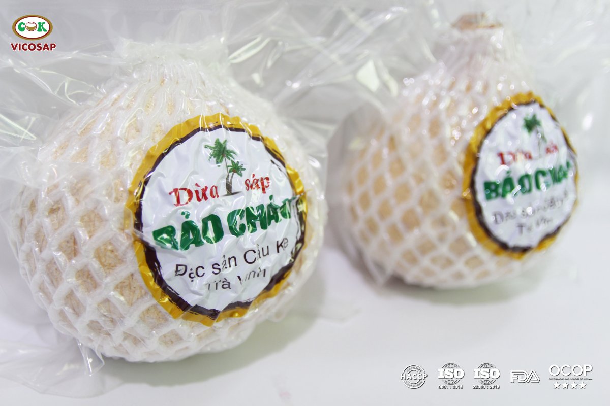 Dừa sáp trái Bảo Châu