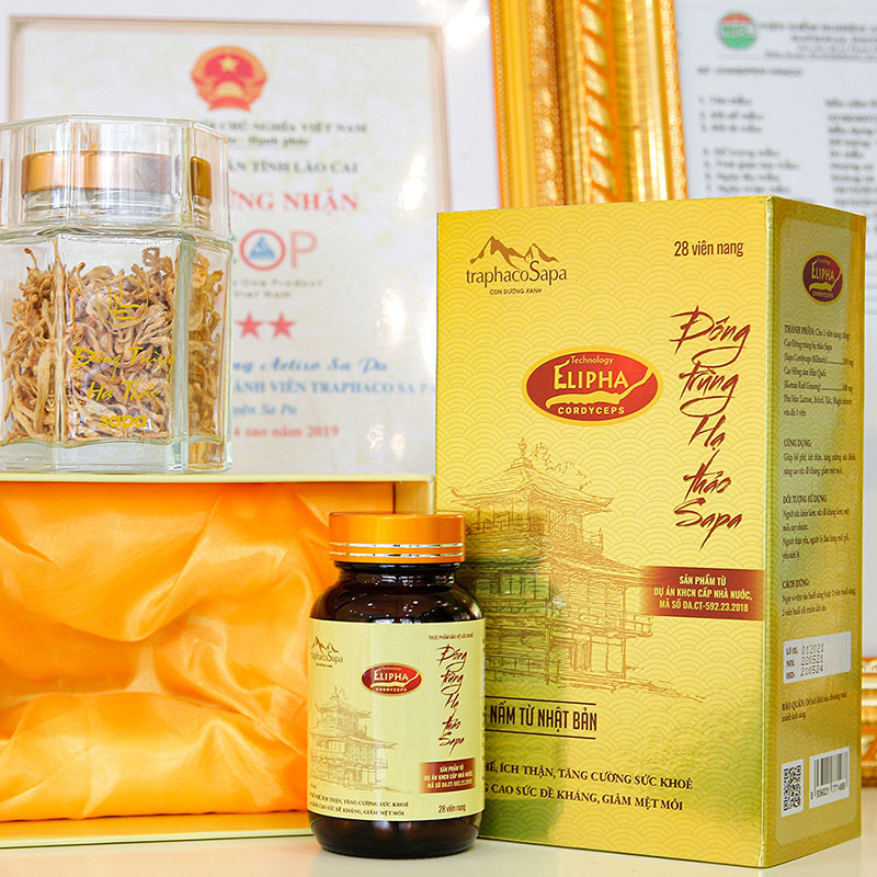 Viên Nang Đông Trùng Hạ Thảo Sapa