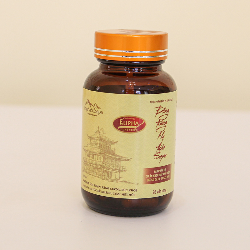 Viên Nang Đông Trùng Hạ Thảo Sapa