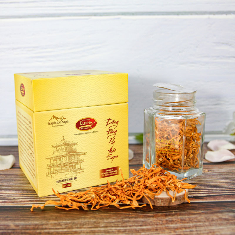 Đông Trùng Hạ Thảo Sapa Khô 20Gr