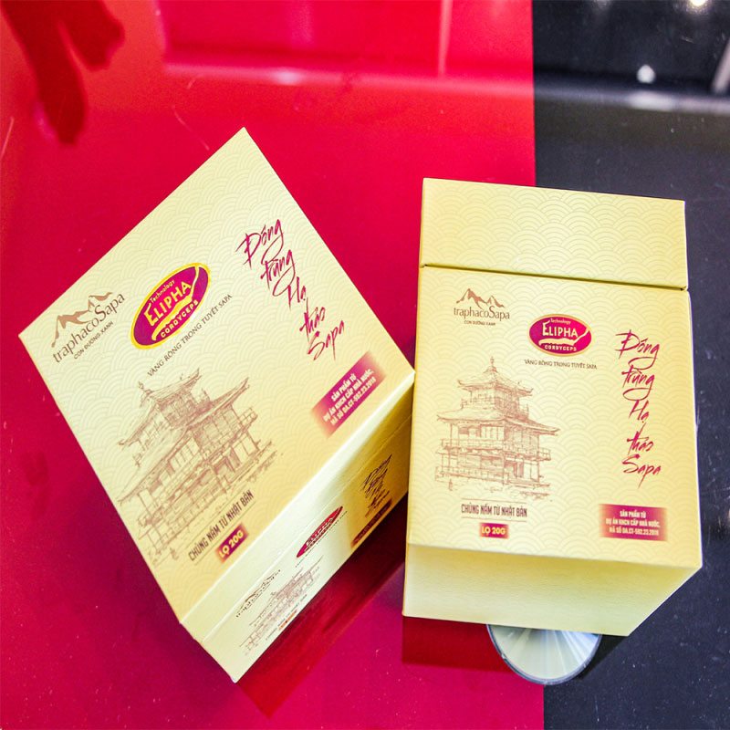 Đông Trùng Hạ Thảo Sapa Khô 20Gr